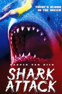 Shark Attack 1999 حمله کوسه