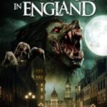 more