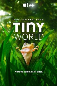Tiny World 2020 دنیای کوچک