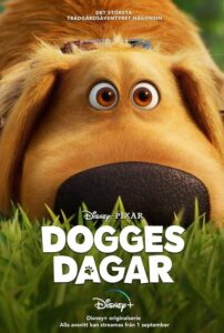 Dug Days 2021 روزهای حفر