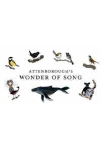 Attenborough’s Wonder of Song 2022 شگفتی آواز اتنبرو