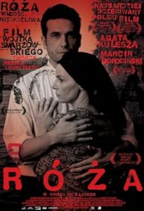 Rose 2011 گل سرخ