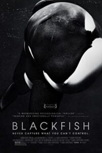 Blackfish 2013 ماهی سیاه