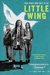 Little Wing 2024 بال کوچک
