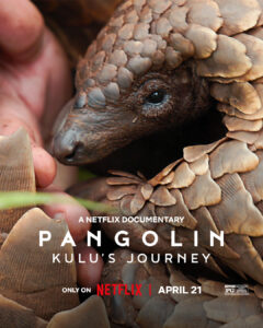 Pangolin: Kulu’s Journey 2025 سفر پنگولینی به اسم کولو