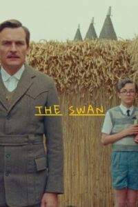The Swan 2023 قو