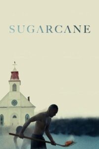 Sugarcane 2024 نیشکر
