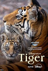 Tiger 2024 ببر