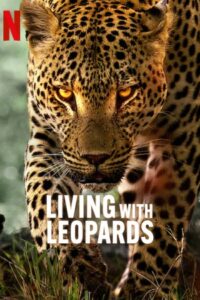 Living with Leopards 2024 زندگی با پلنگ‌ها