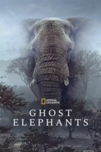 Ghost Elephants 2025 فیل‌های شبح‌گونه