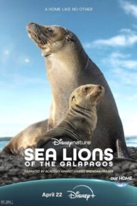 Sea Lions of the Galapagos 2025 شیرهای گالاپاگوس