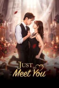 Just To Meet You 2026 فقط برای دیدن تو