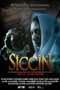 Siccin 2014 سجین