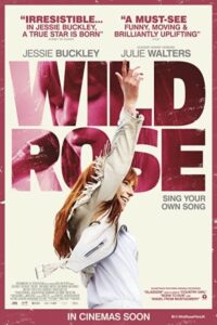 Wild Rose 2018 گل سرخ