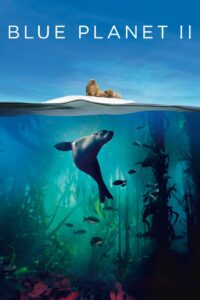 Blue Planet 2 2017 سیاره آبی 2