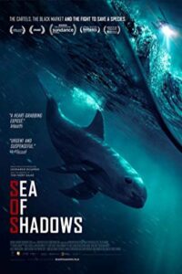 Sea of Shadows 2019 دریای سایه ها